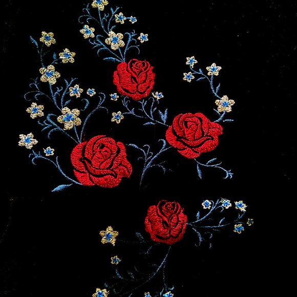 Velvet dress from Francesca’s! - Picture 2 of 3